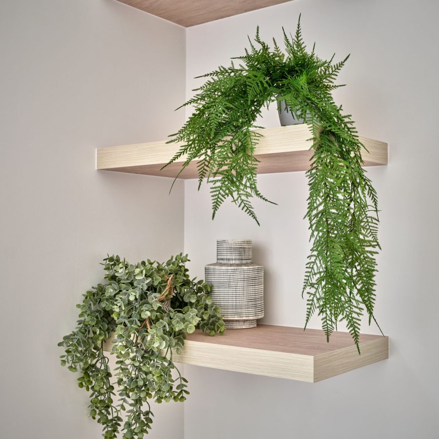 Greenwich Place Deluxe shelves with plants and vases